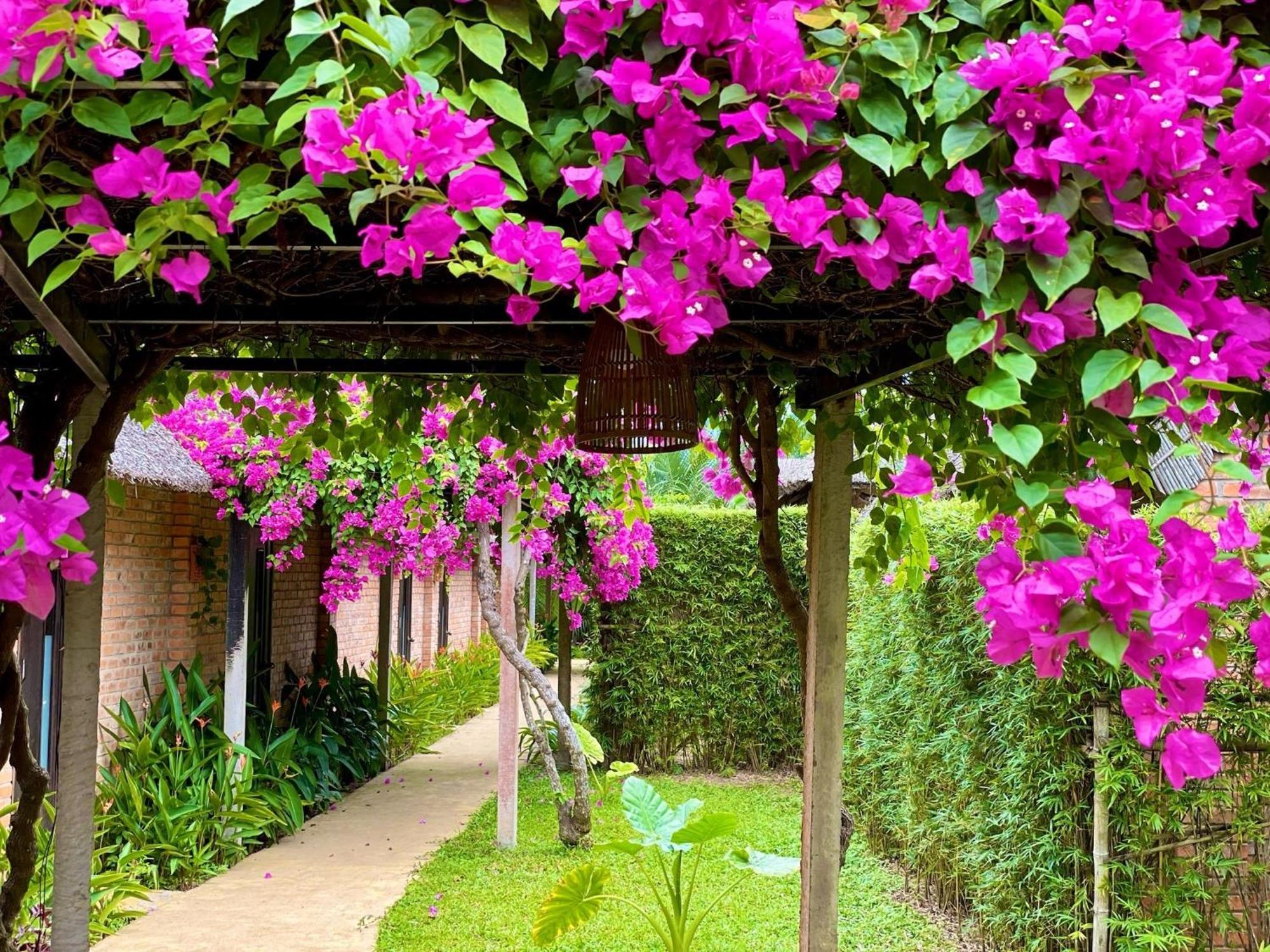 Enso Retreat Hoi An - Rediscovery & Serenity 외부 사진